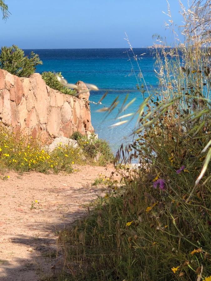 Palombaggia Villa Porto-Vecchio  Exteriör bild
