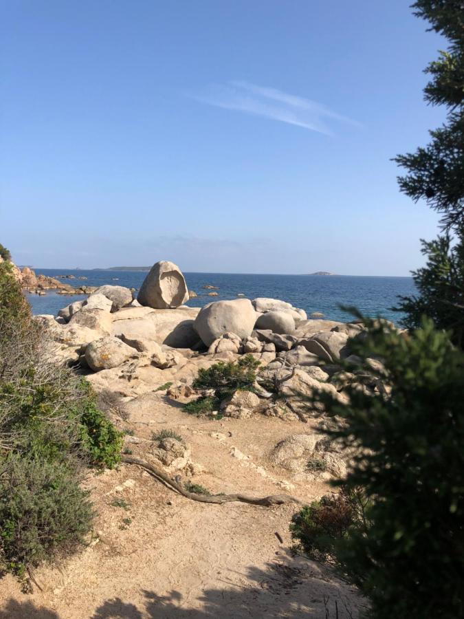 Palombaggia Villa Porto-Vecchio  Exteriör bild