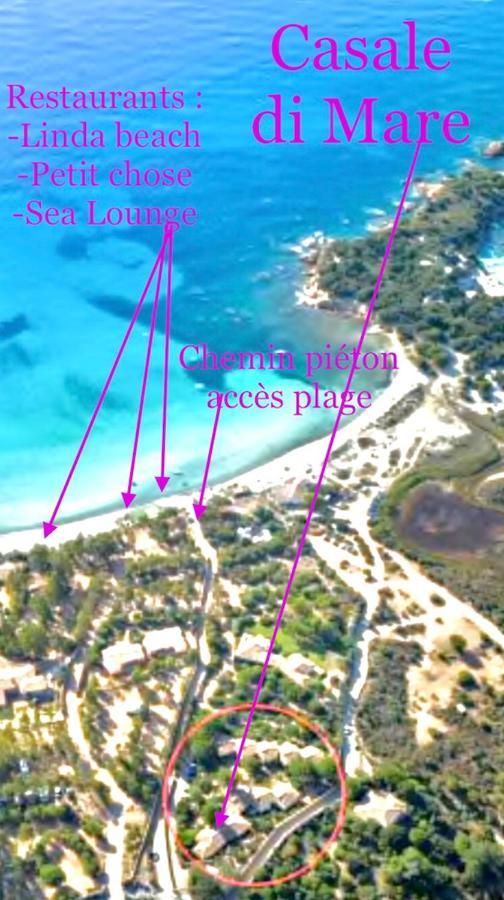 Palombaggia Villa Porto-Vecchio  Exteriör bild