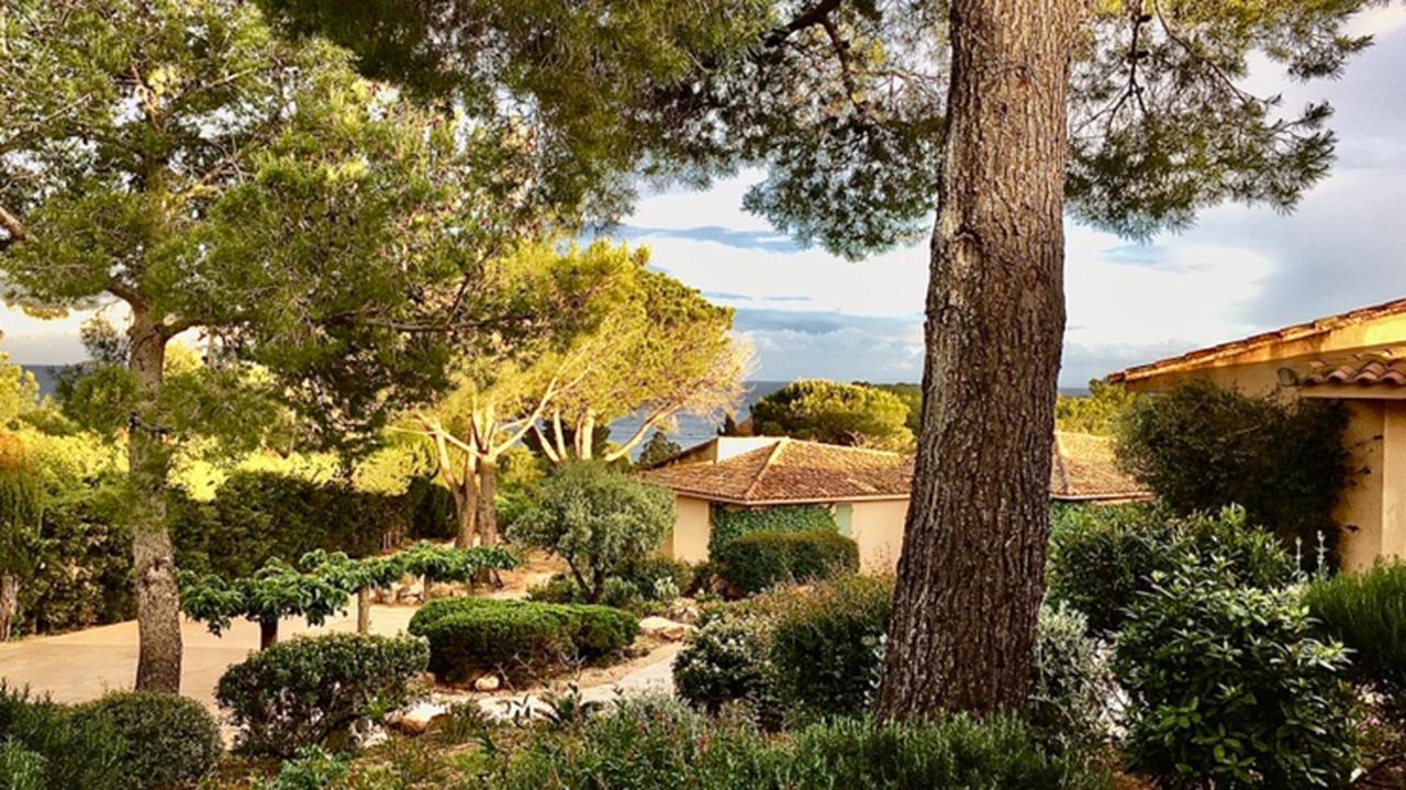 Palombaggia Villa Porto-Vecchio  Exteriör bild